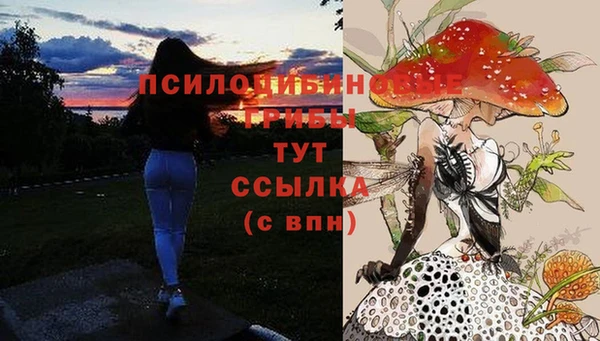 синтетический гашиш Абинск