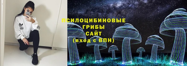 гидропоника Алексеевка