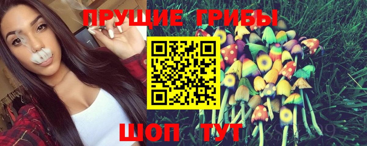 Галлюциногенные грибы мицелий  Вход с VPN  Энгельс  Галлюциногенные грибы прущие грибы 